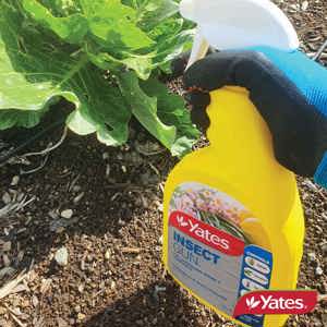 Yates Insect Gun - Ready to Use