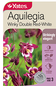 Yates Y35 965 Aquilegia Winky Double Red White 2021
