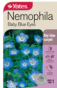 56171 Seed Nemophila Baby Blue Eyes YATES