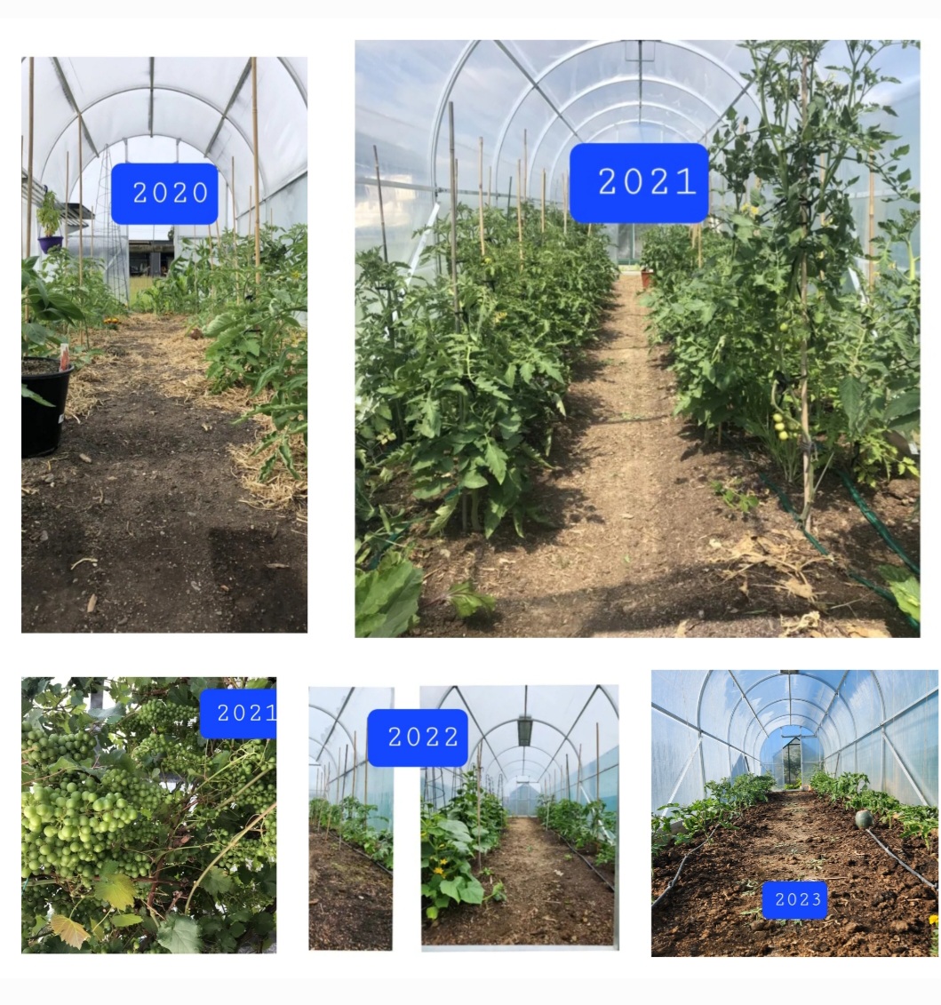 Behind, But Not Worried