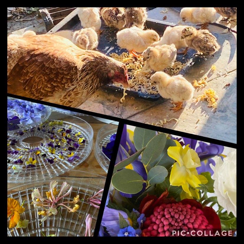 meet your neighbors nomination