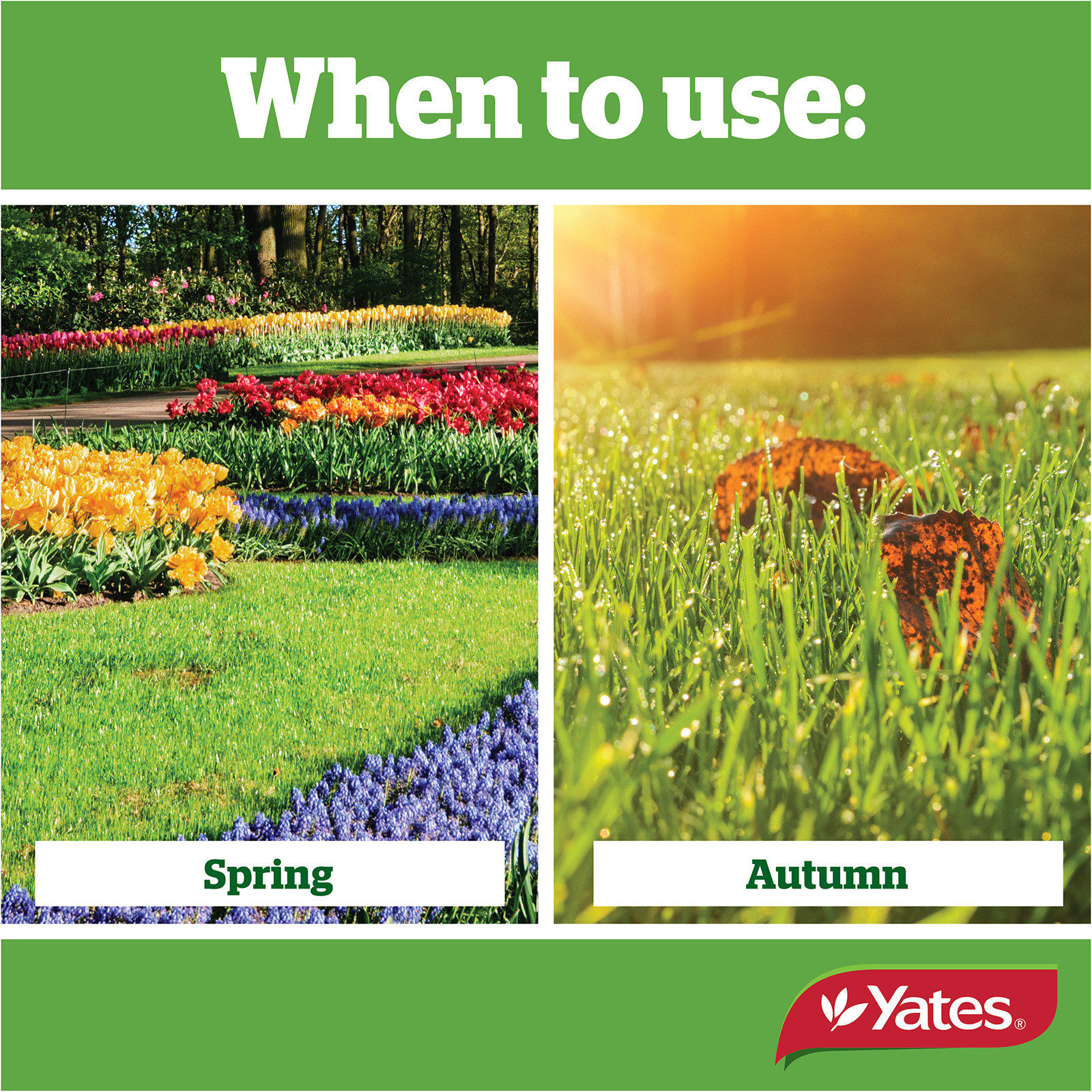 Lawn Fertiliser Twice A Yearv2 05