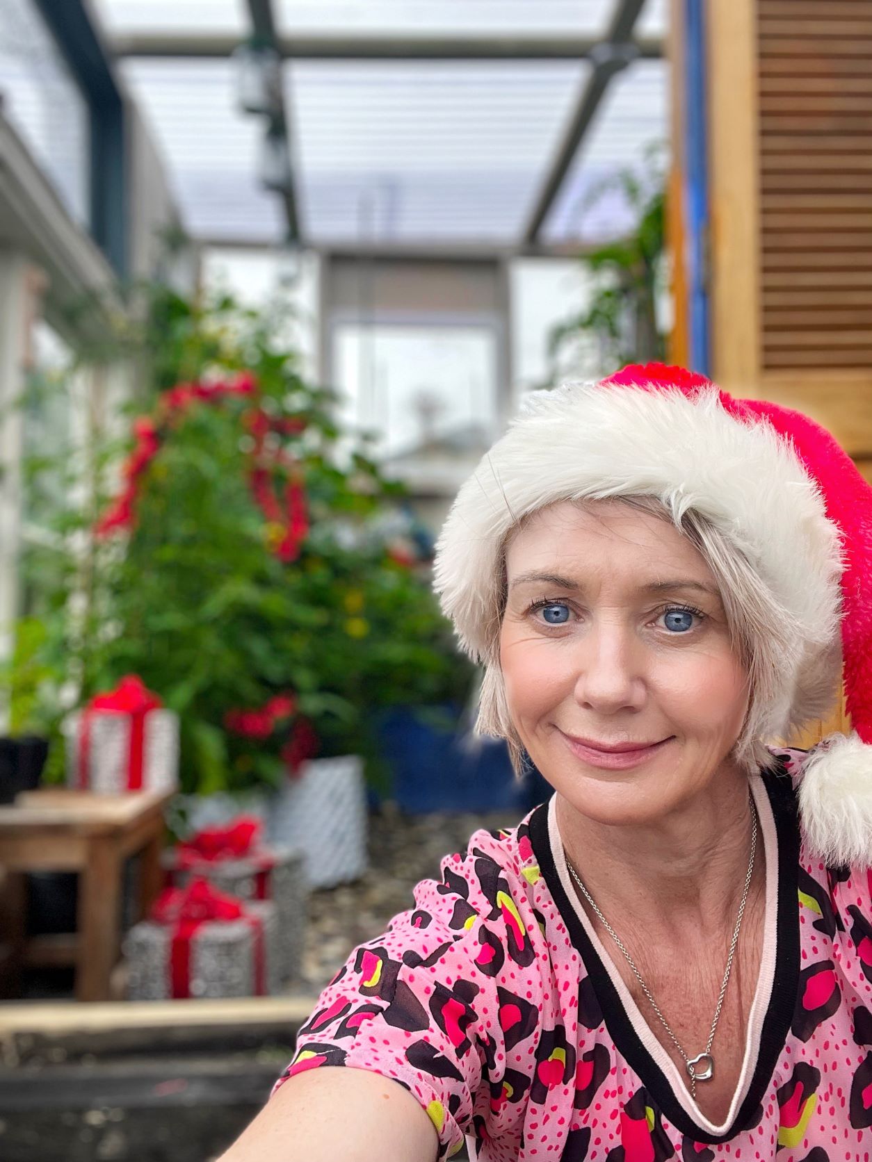 Merry Christmas garden friends