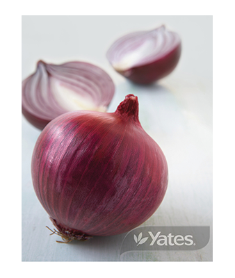 Onion Sweet Red Product