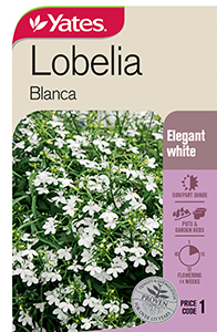 Yates Y35 973 Lobelia Blanca 2021