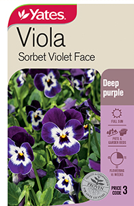 Viola 'Sorbet Violet Face'