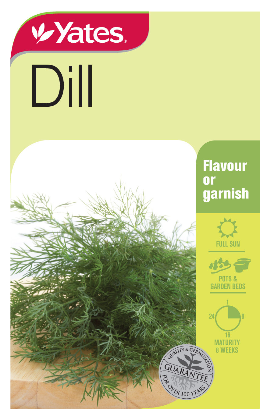 17167 Yates Herb Dill Packet Seed