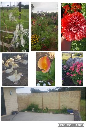 Carving out some time!!!