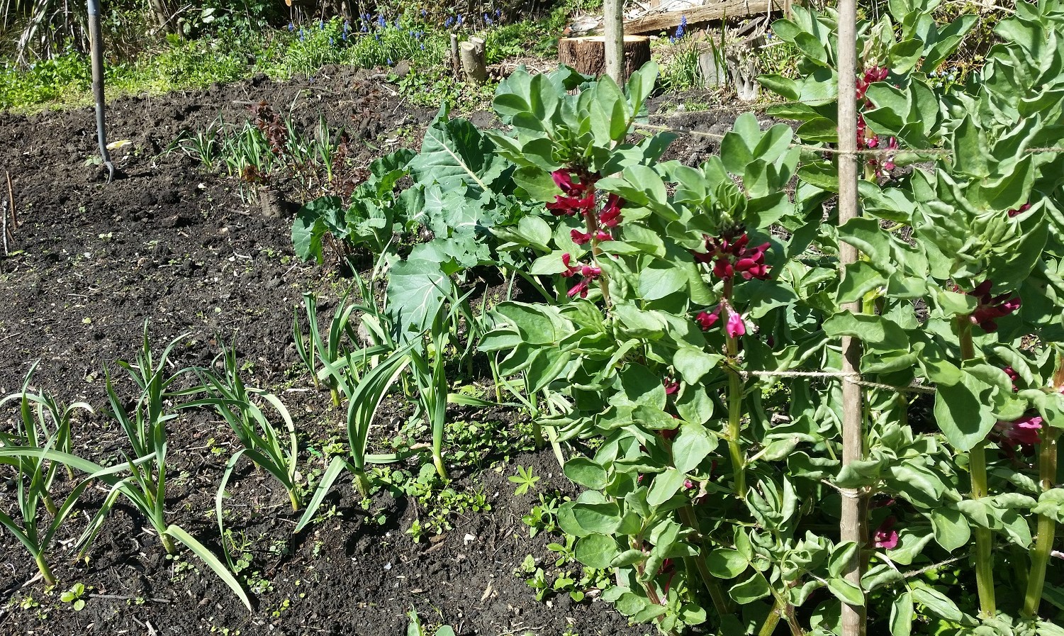 Mini Challenge One Nomination