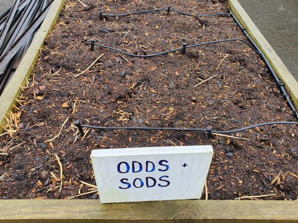 FRIDAY TOP TIPS – Do you have the room?