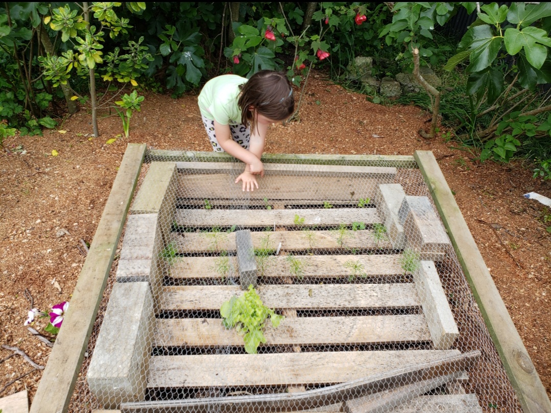 Kids gardens: Miss 4