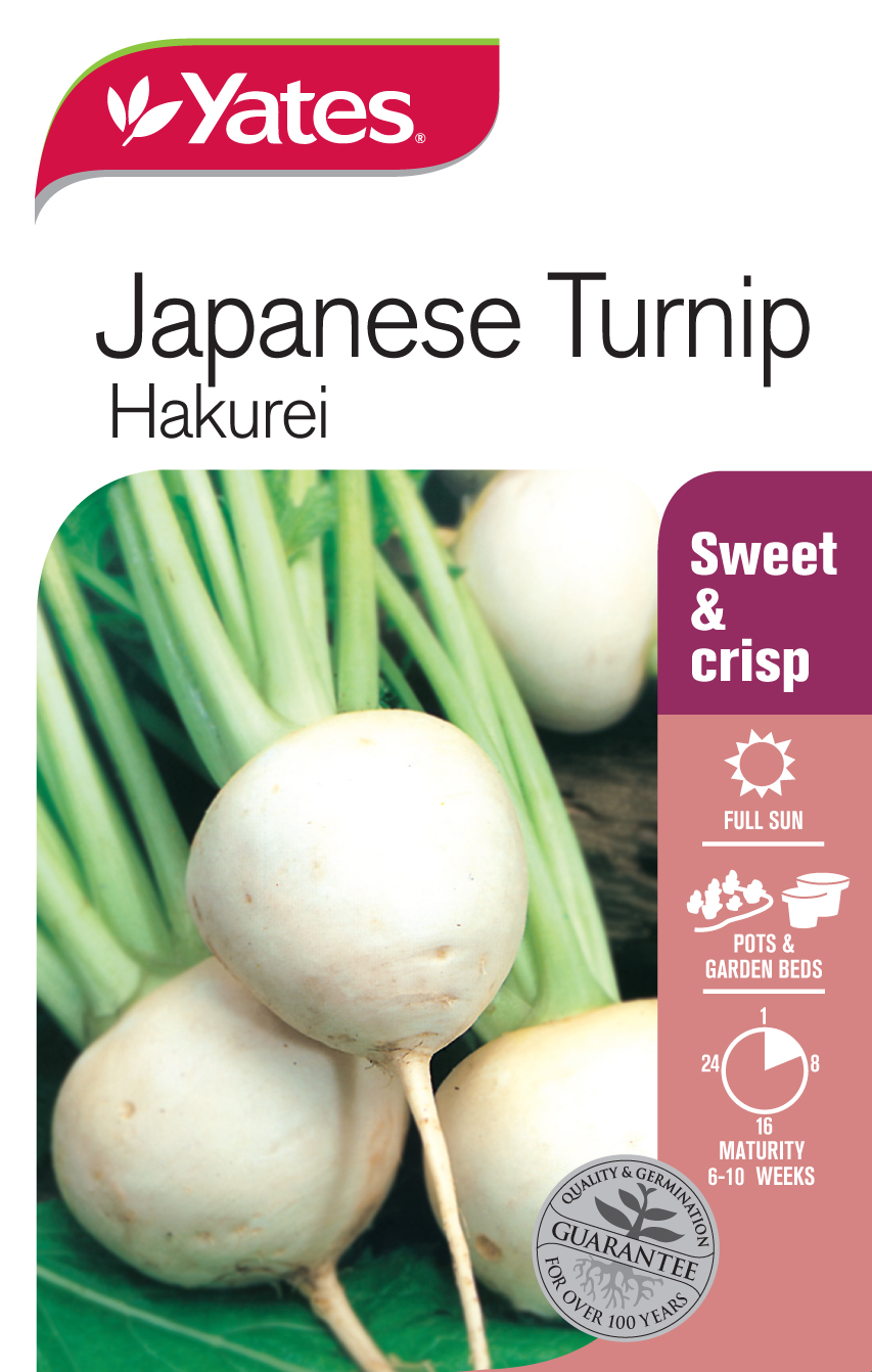 Japanese Turnip 'Hakurei'