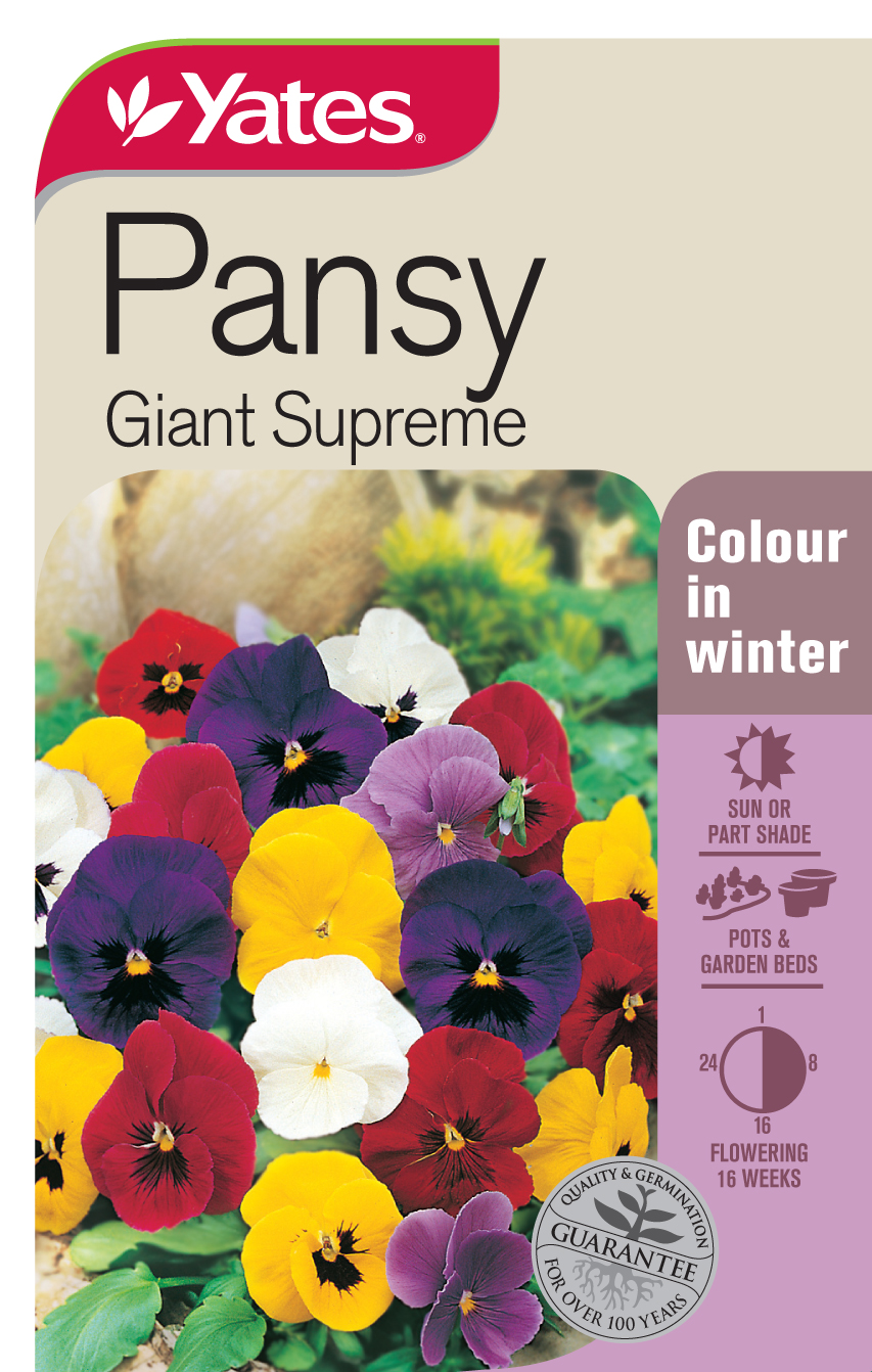 Pansy 'Giant Supreme'
