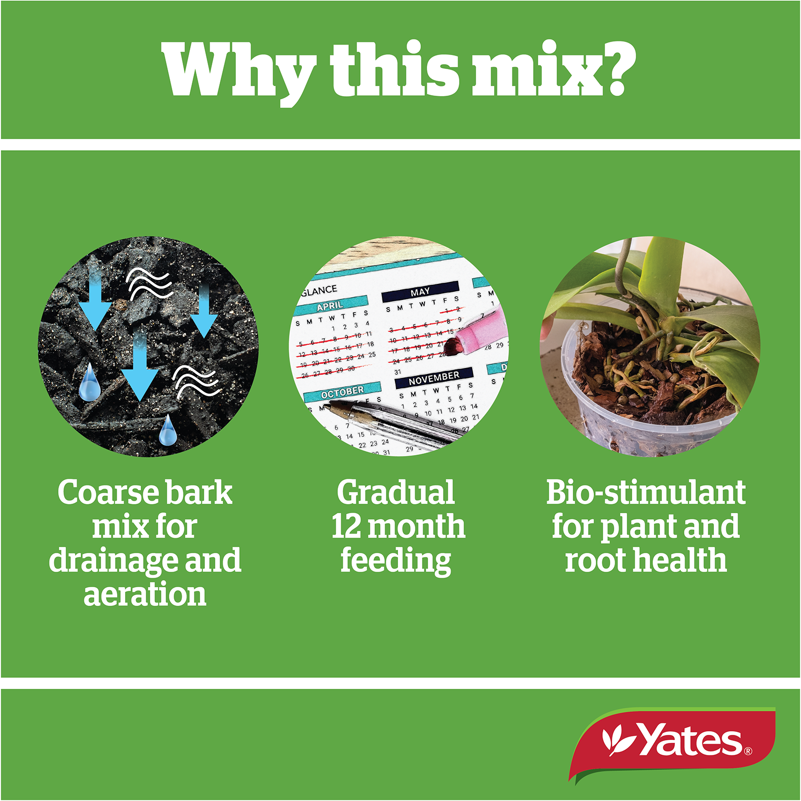 Yates Thrive Orchid Mix V2 07