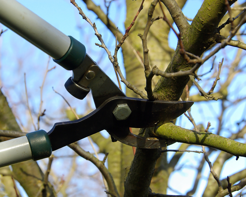 All About Pruning