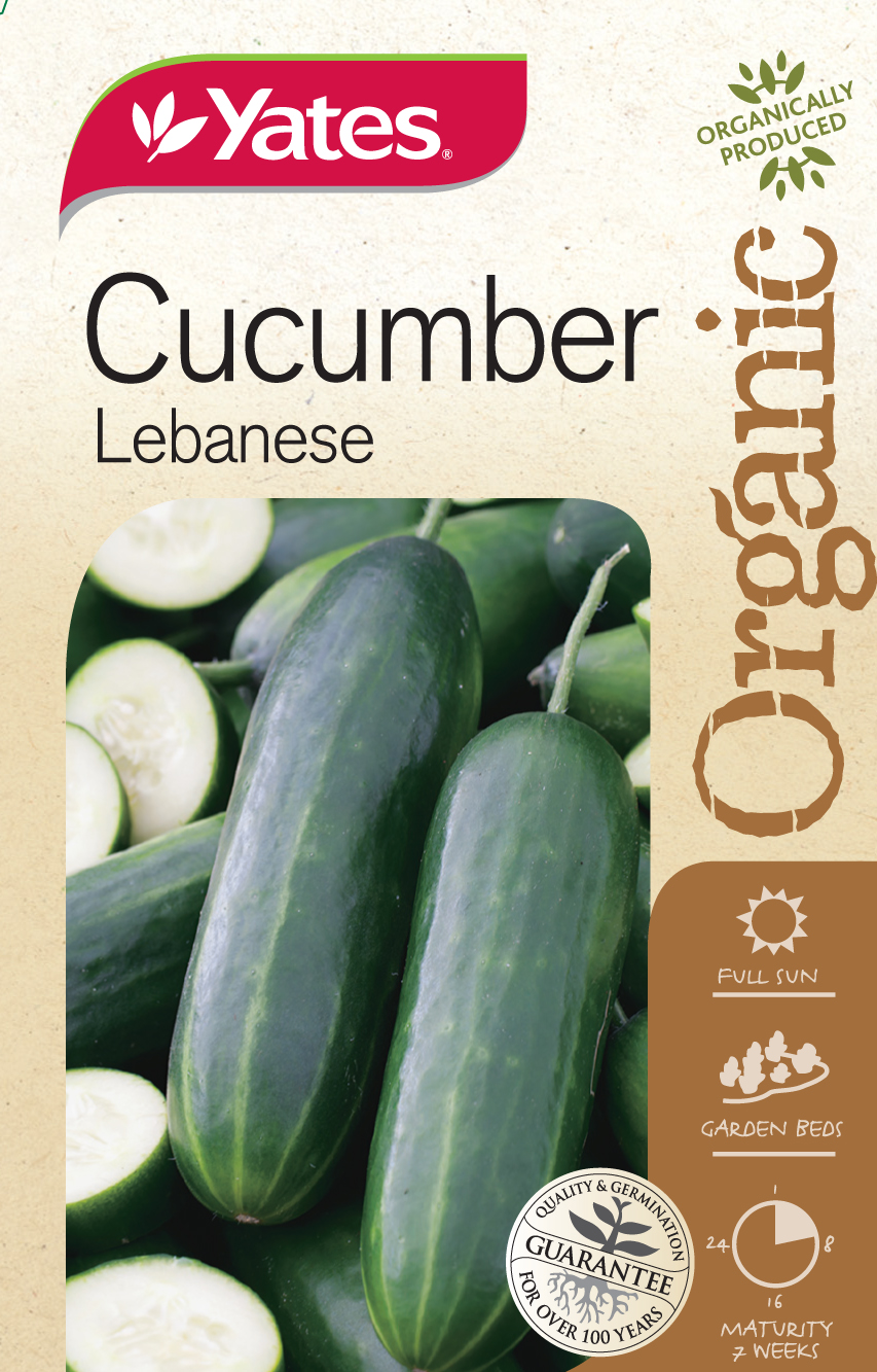 Cucumber Lebanese (Organic)