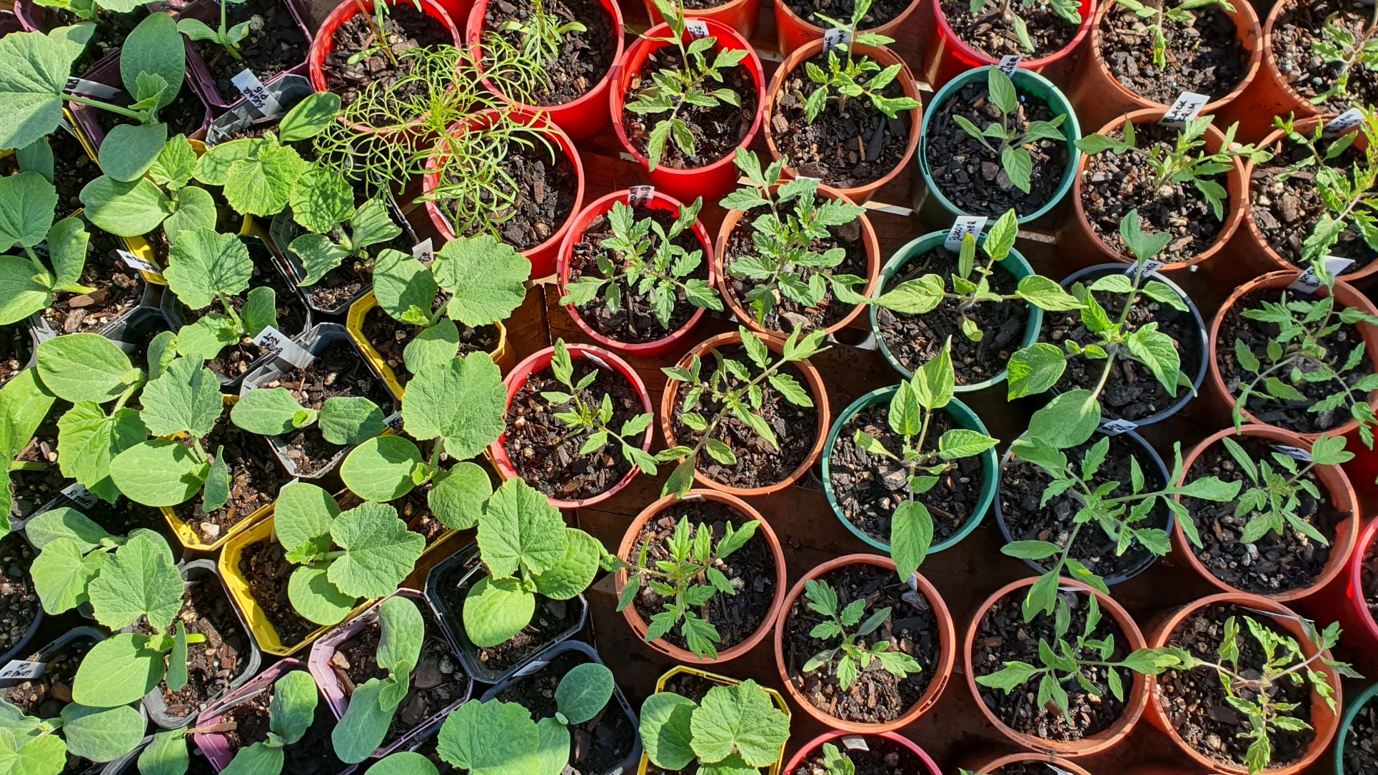 FRIDAY TOP TIPS – Hydration 