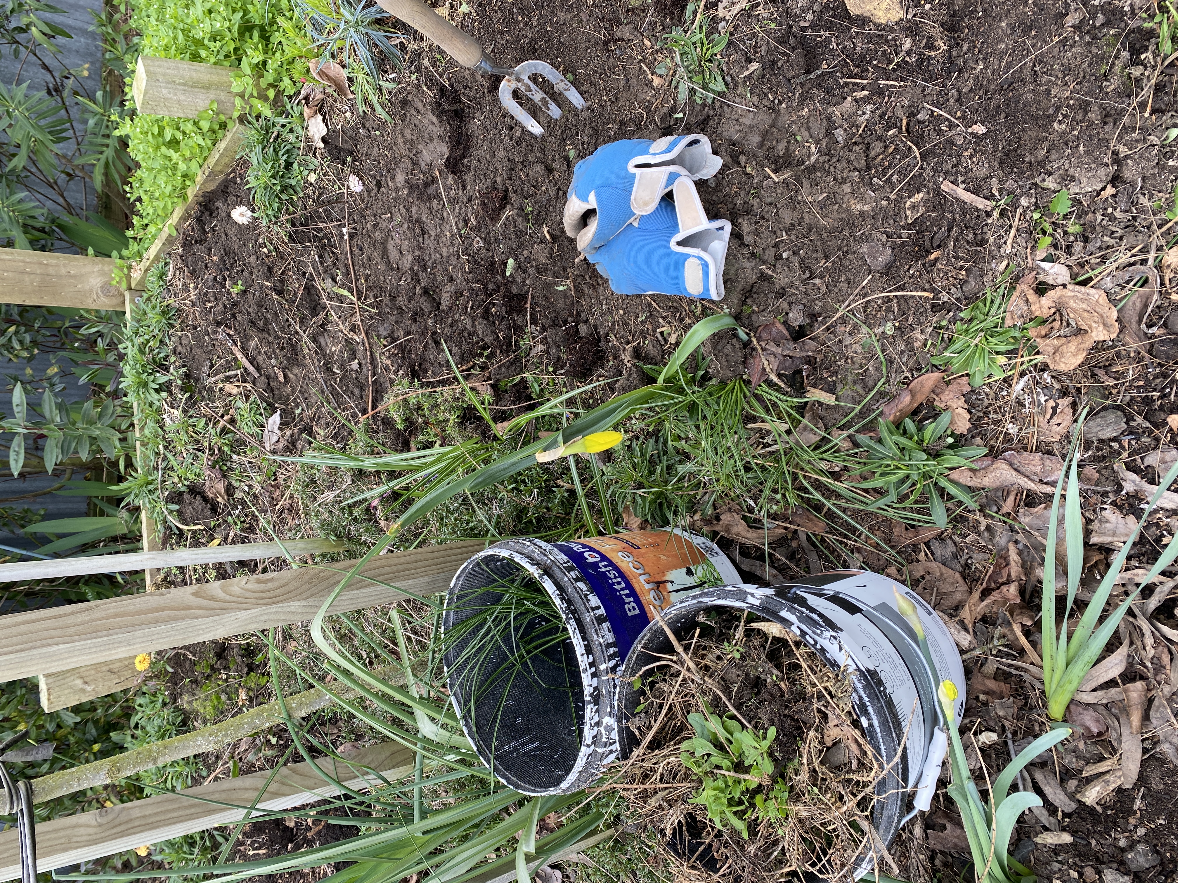 The best kind of workout 