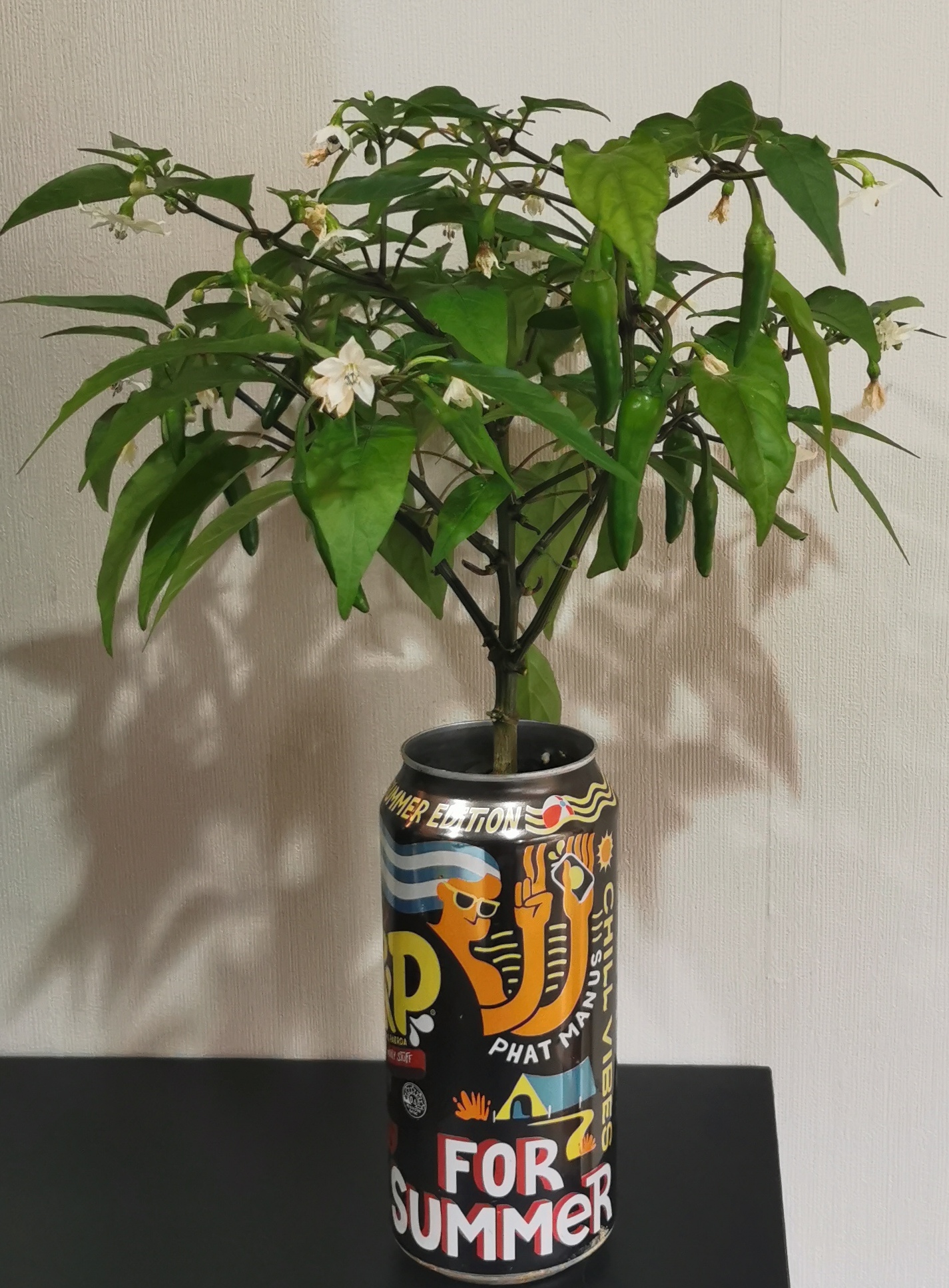 Happy Spring Day 2023