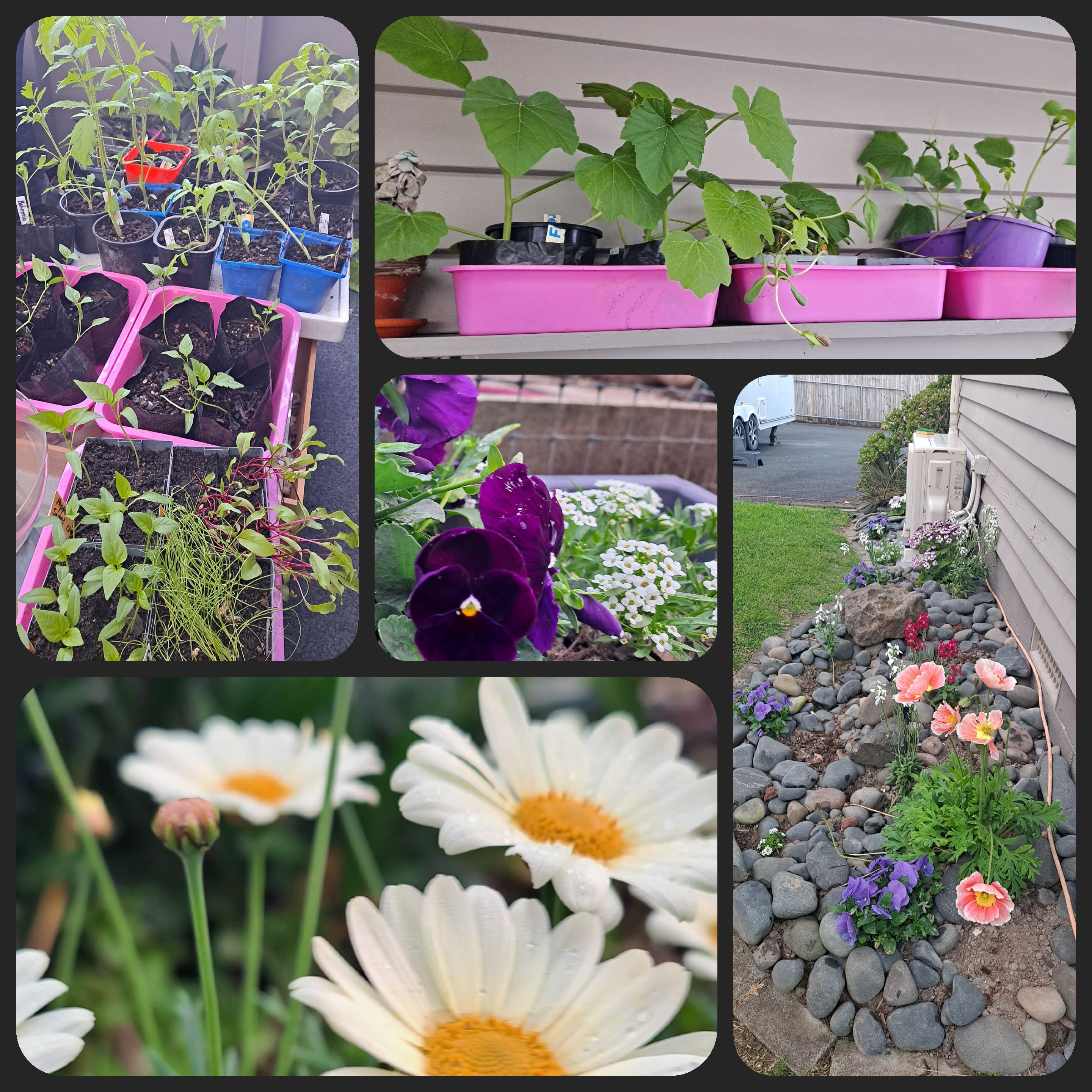 Prepping the Garden, or Protecting the Garden