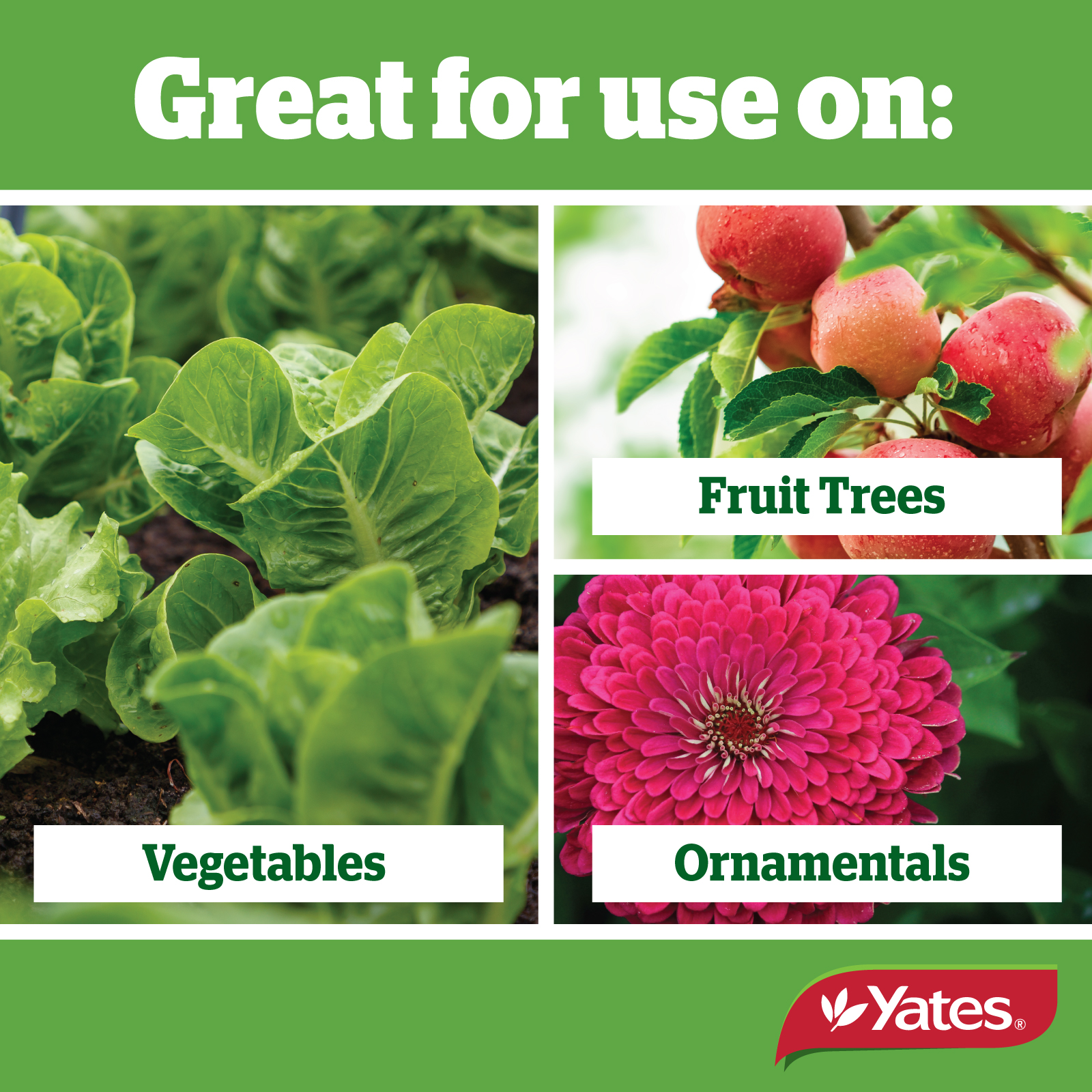 Yates Web Info VEGE Gunv22