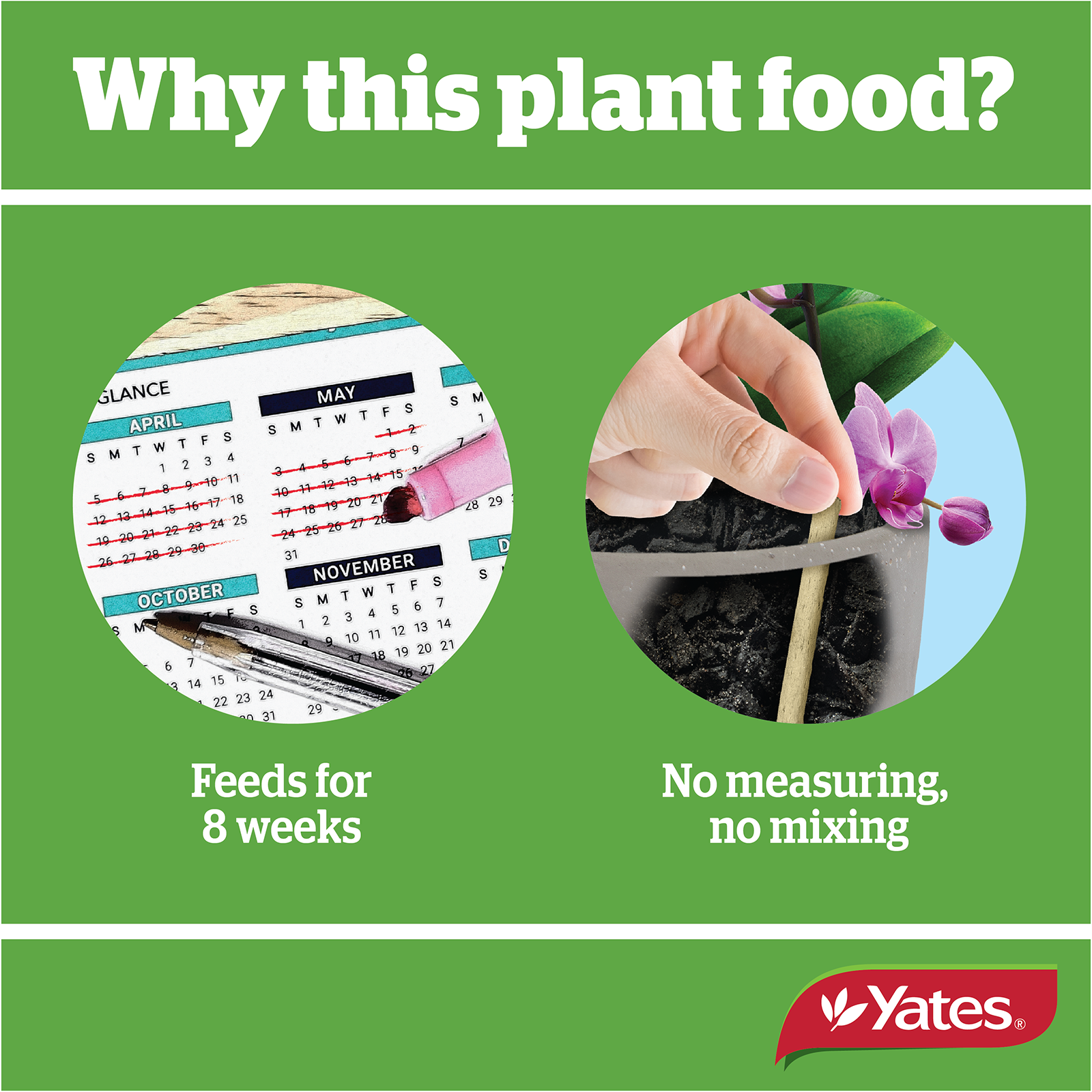 Yates Plant Spikes Orchidsv2 05