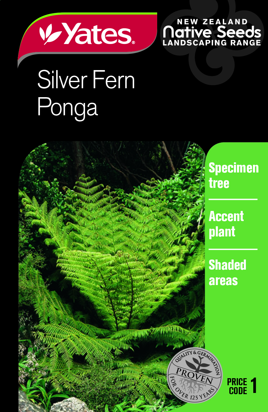 Ponga - Silver Fern