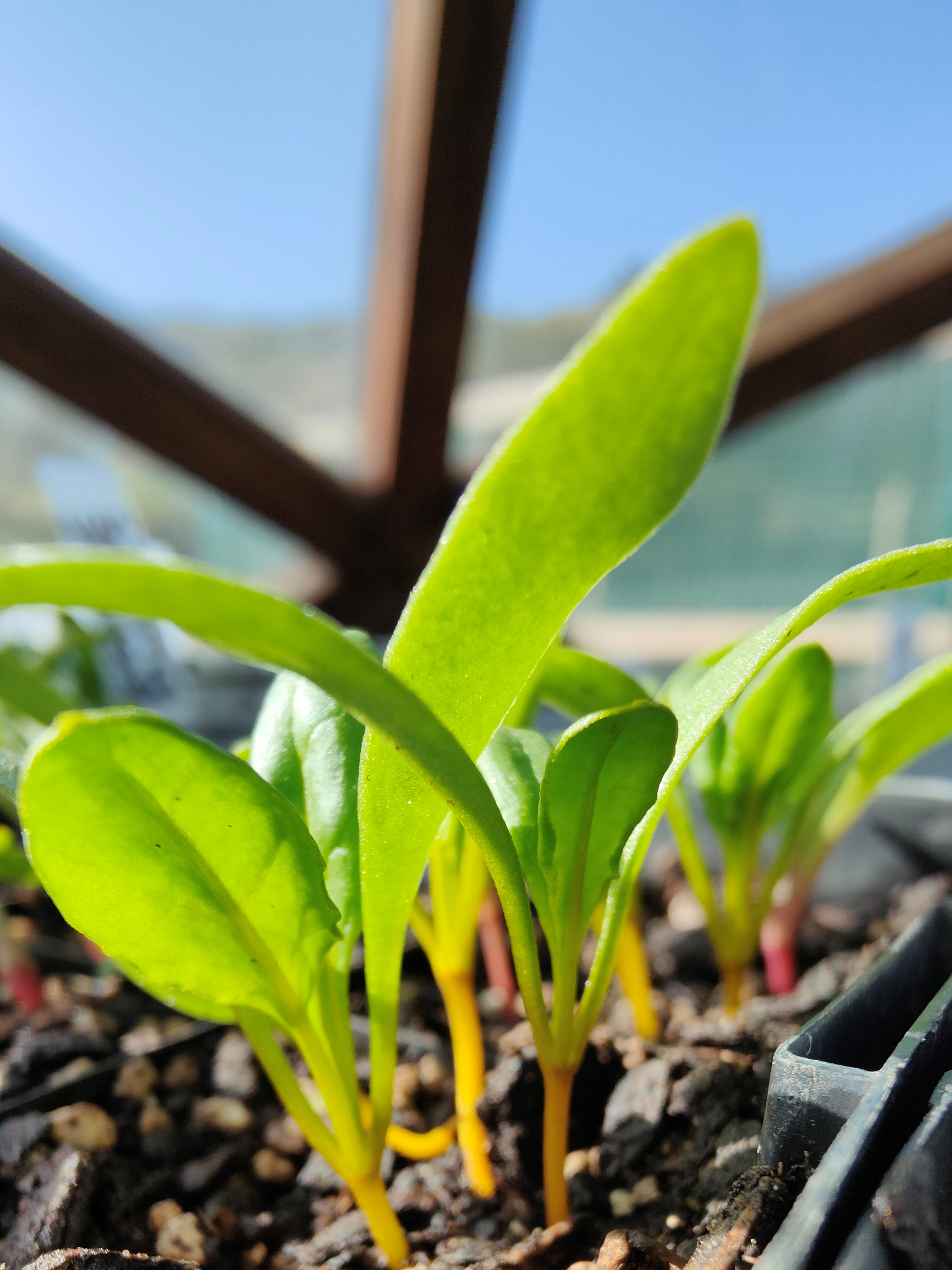 An Encouraging Announcement