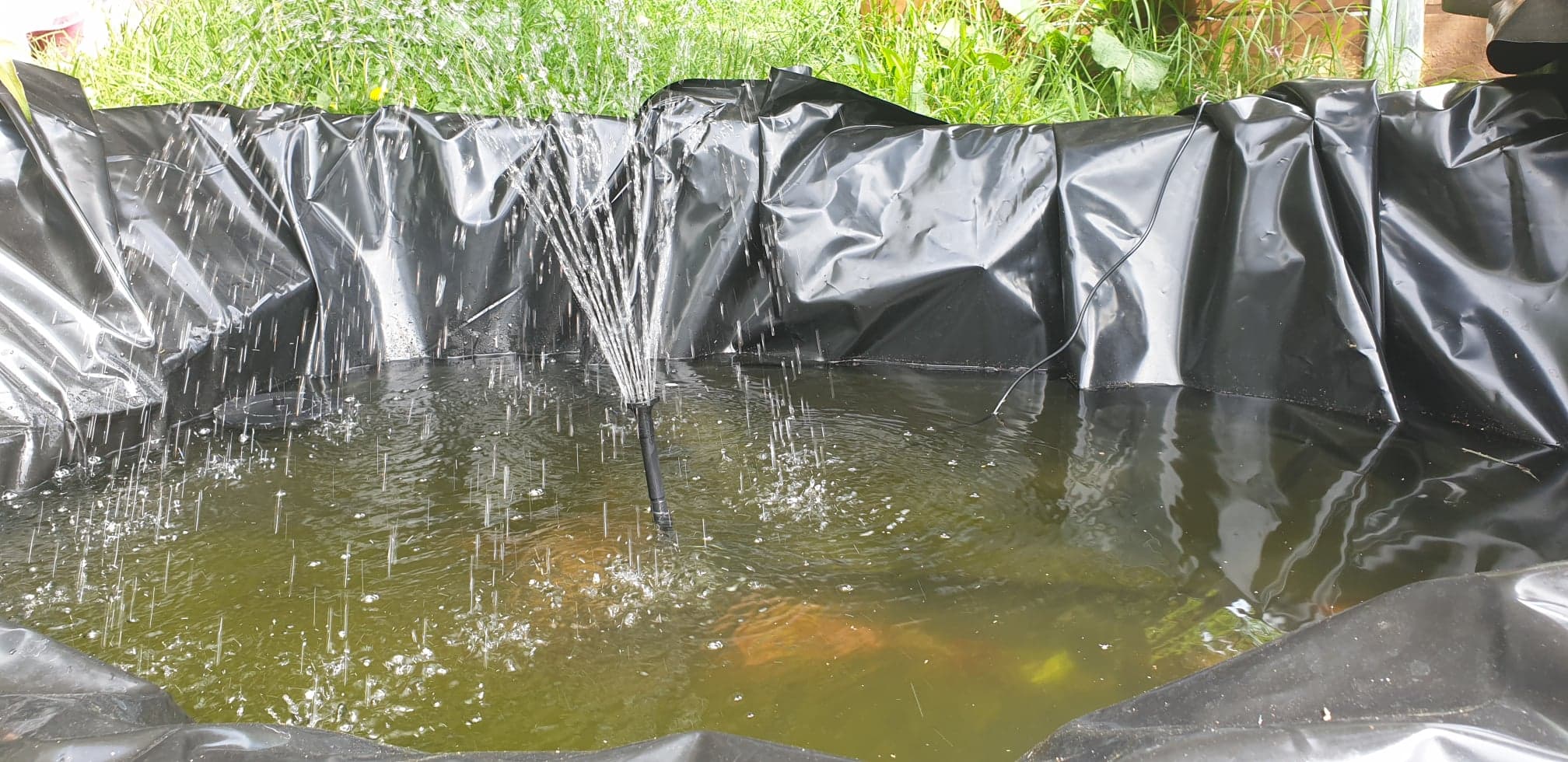 Let the experiment begin!