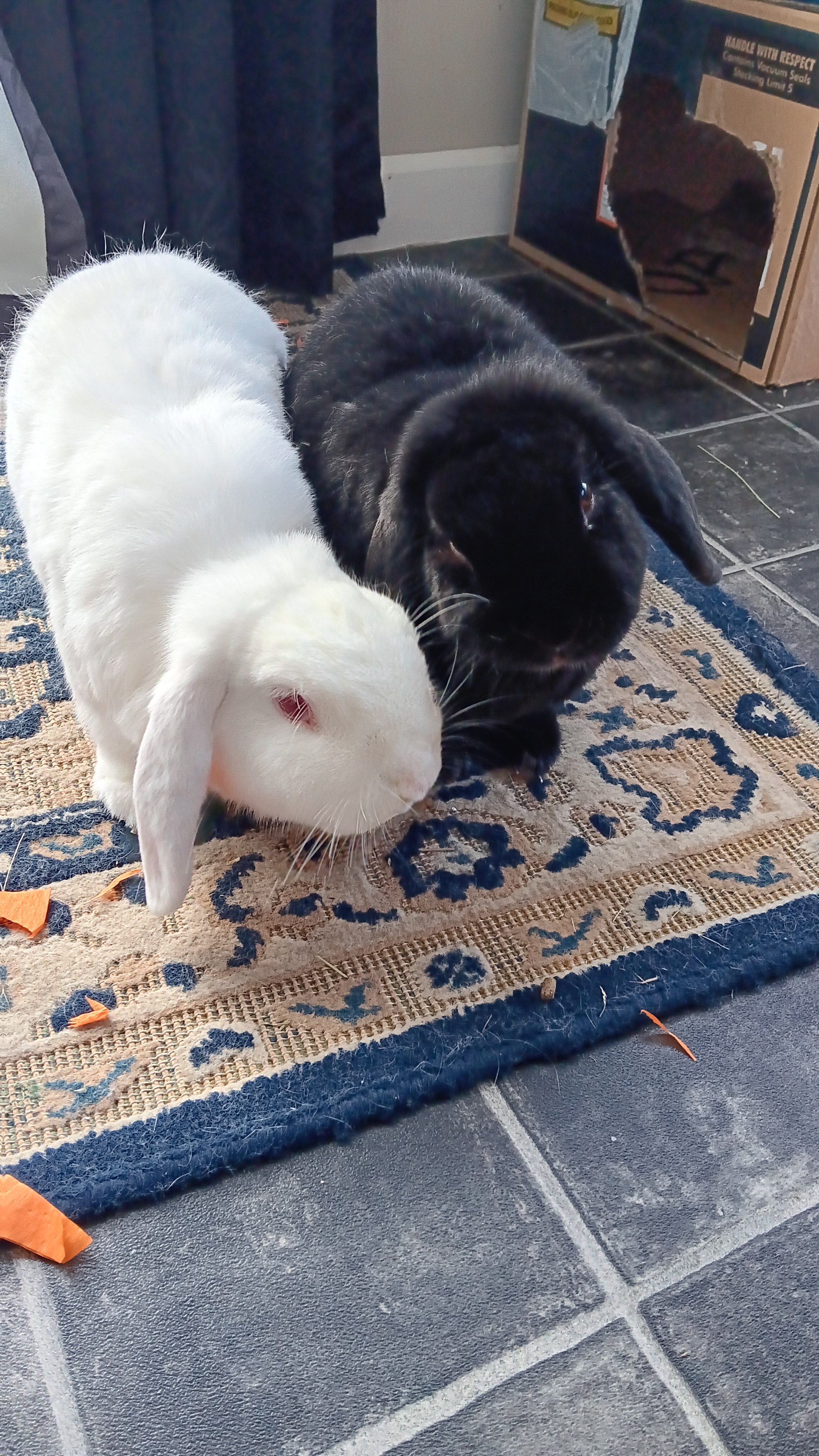 Did myself a whoopsie, slippery spring