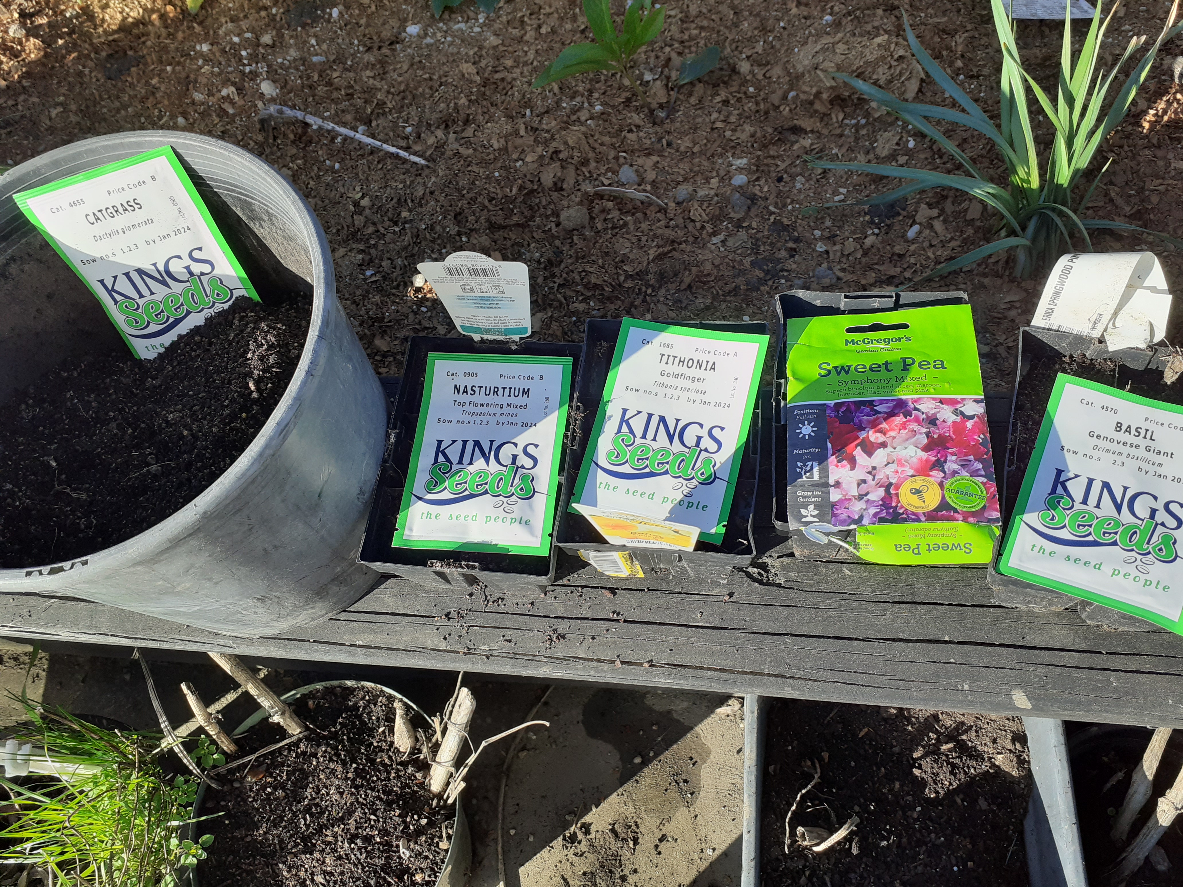 Sow seeds while the sun shines