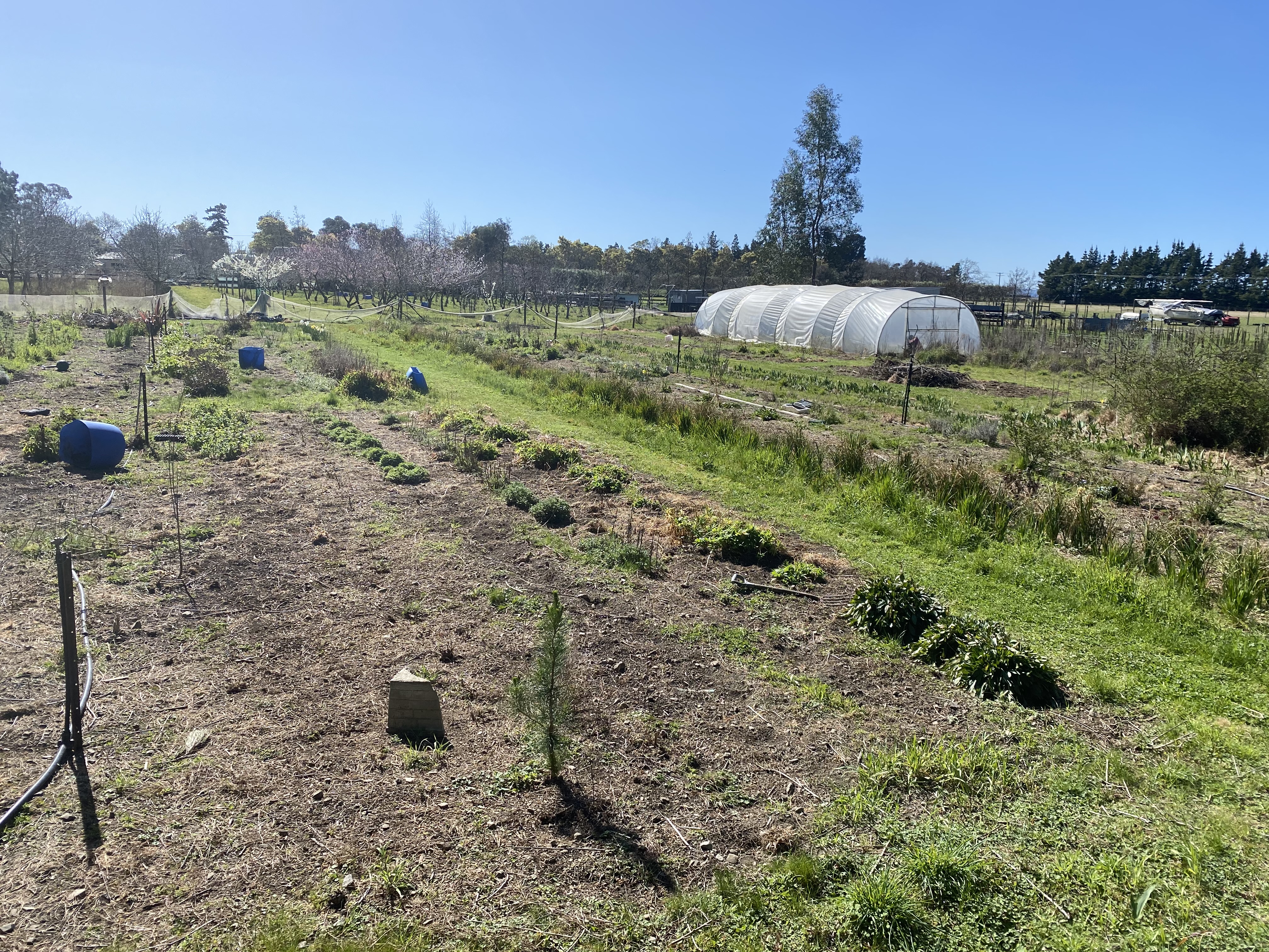 She’s a thirsty beast 