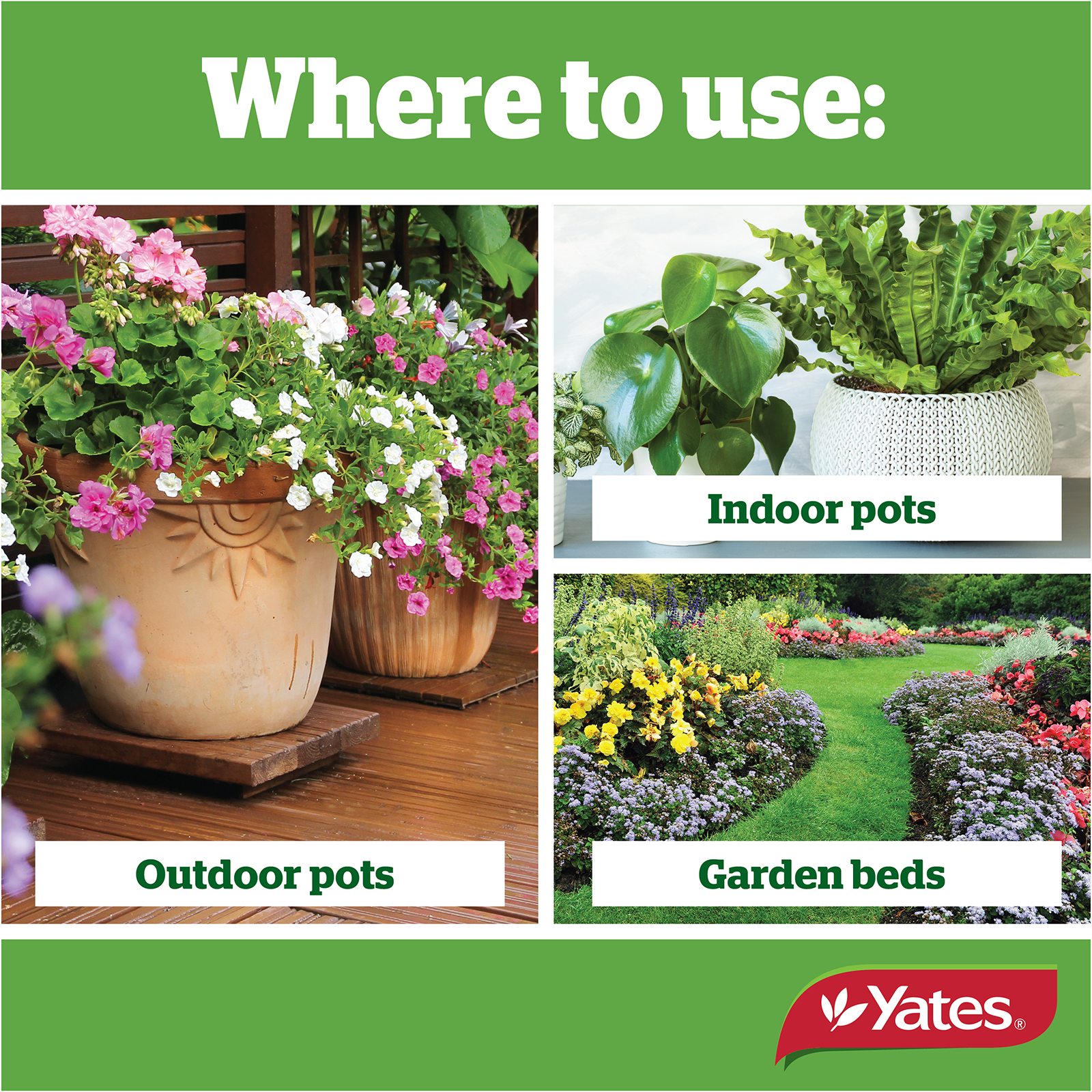 Yates Citrus All Purpose V2 02