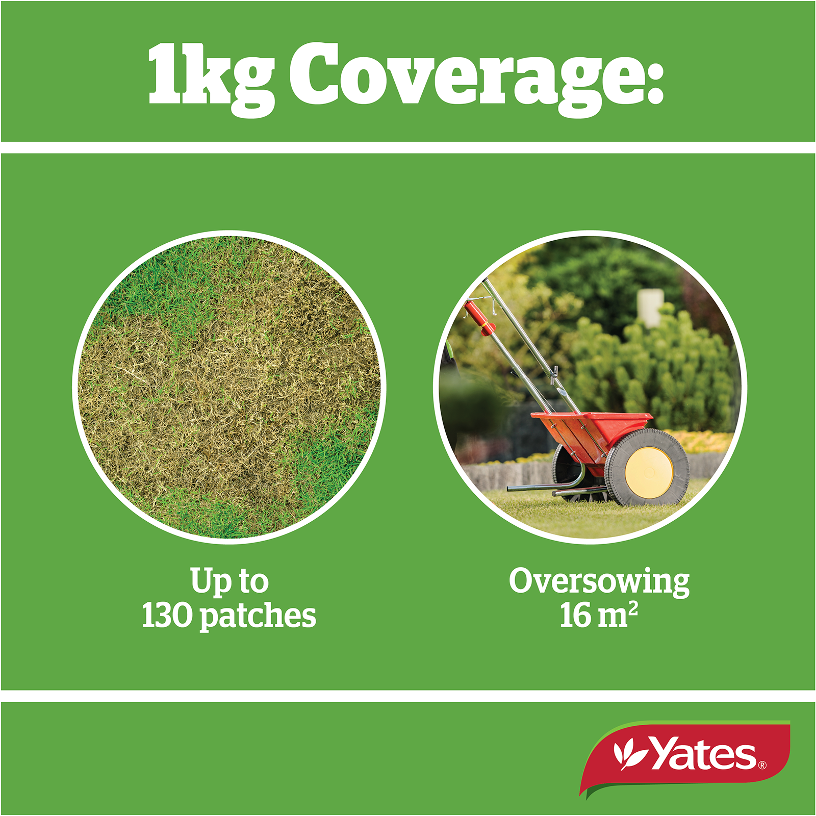 Yates Seednfeed V2 02