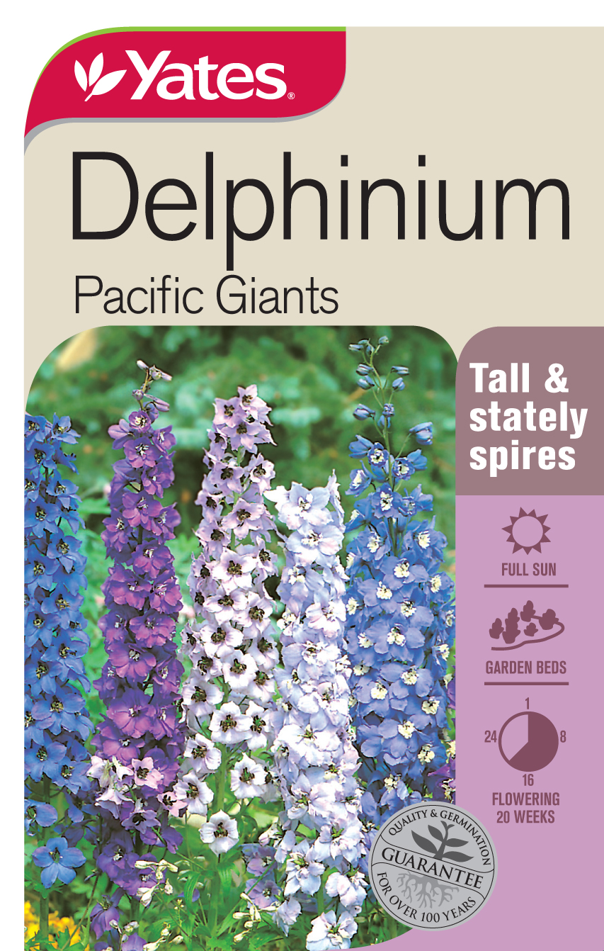 20082 Yates Flwr Delphinium Pacific Packet Seed