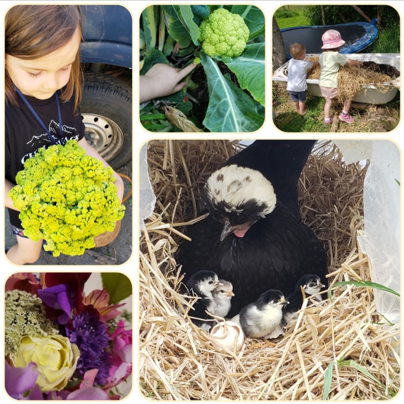 All done, but just beginning.