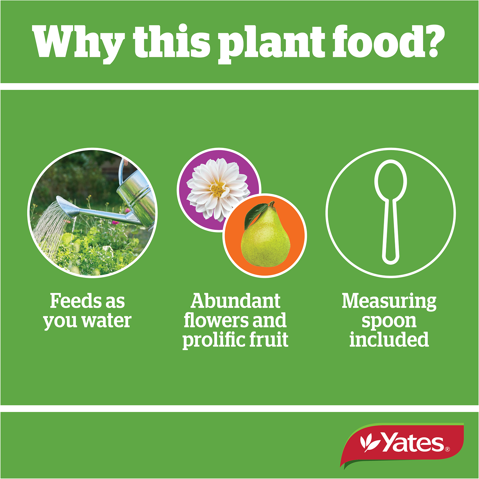 Fruit & Flower V2 07