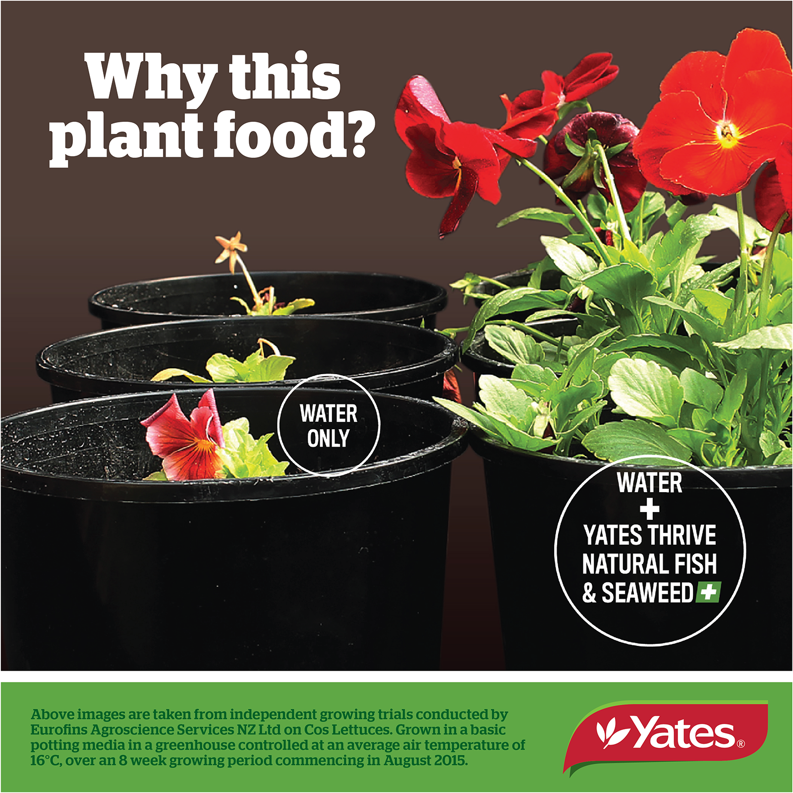 Fish & Seaweed Fertiliser V2 11