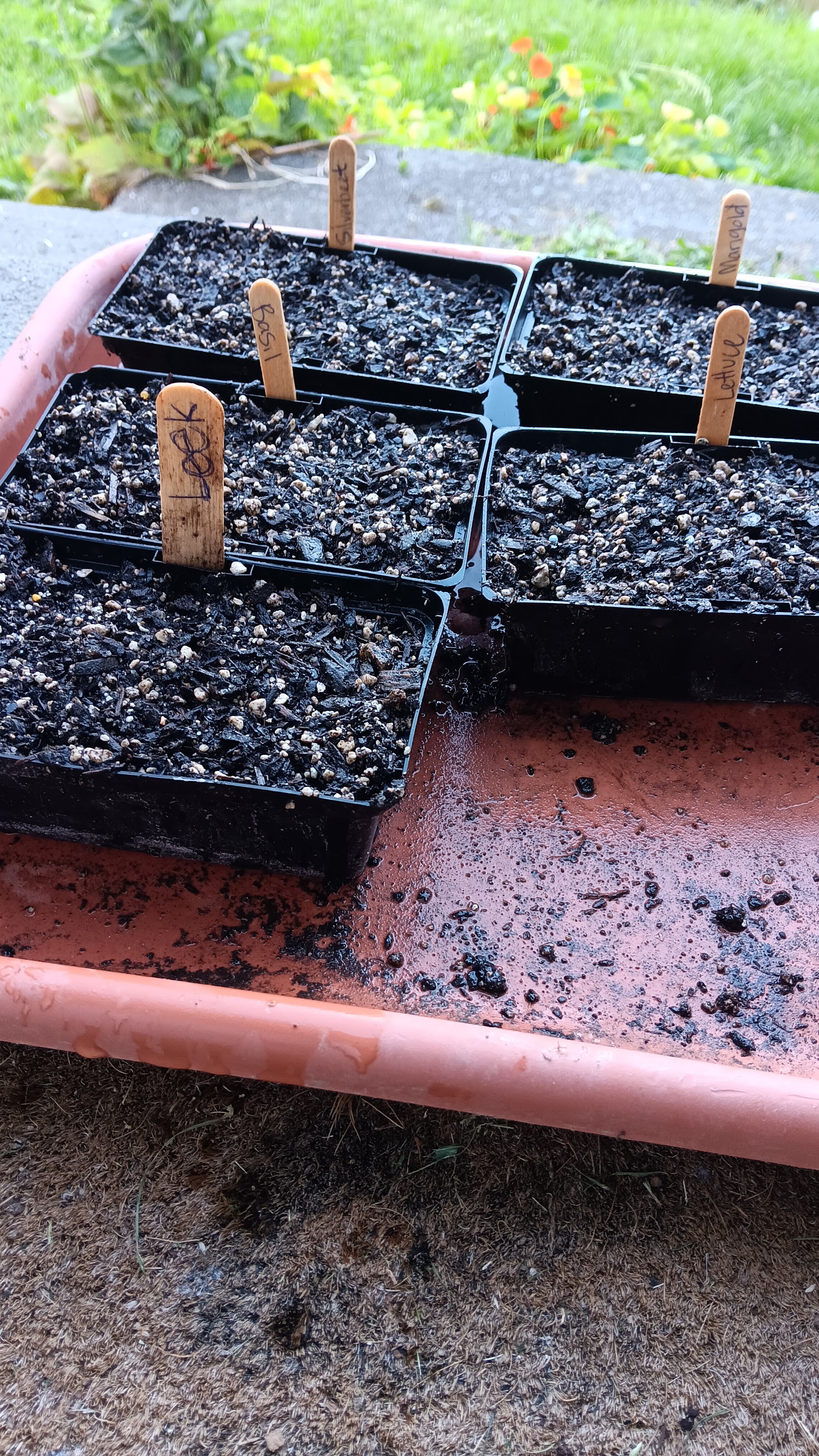 Just a tad of gardening.