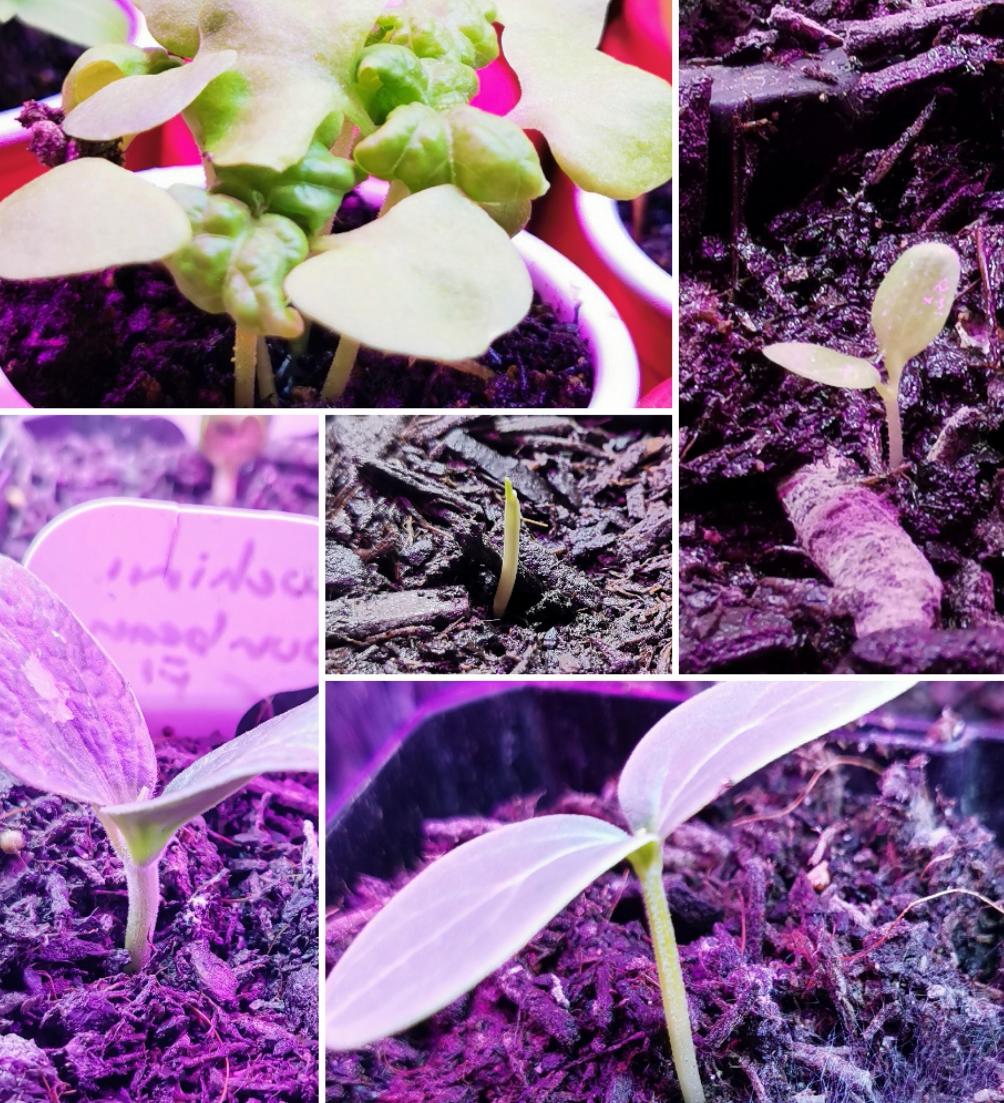 New members have joined the party! 