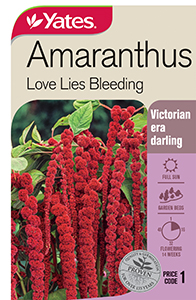 Yates Y35 964 Amaranthus Love Lies Bleeding 2021