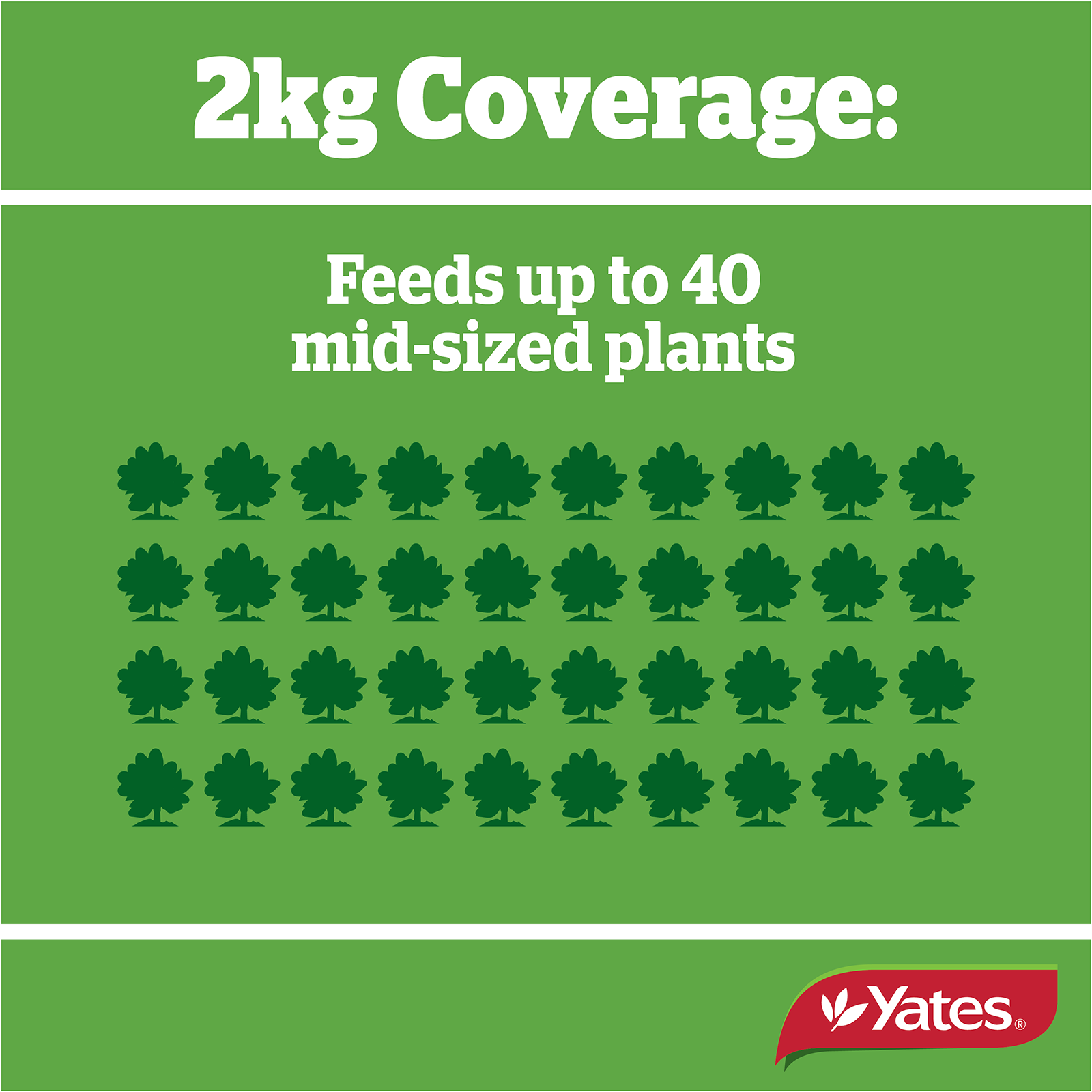 Yates Camelia Granulars V1 04