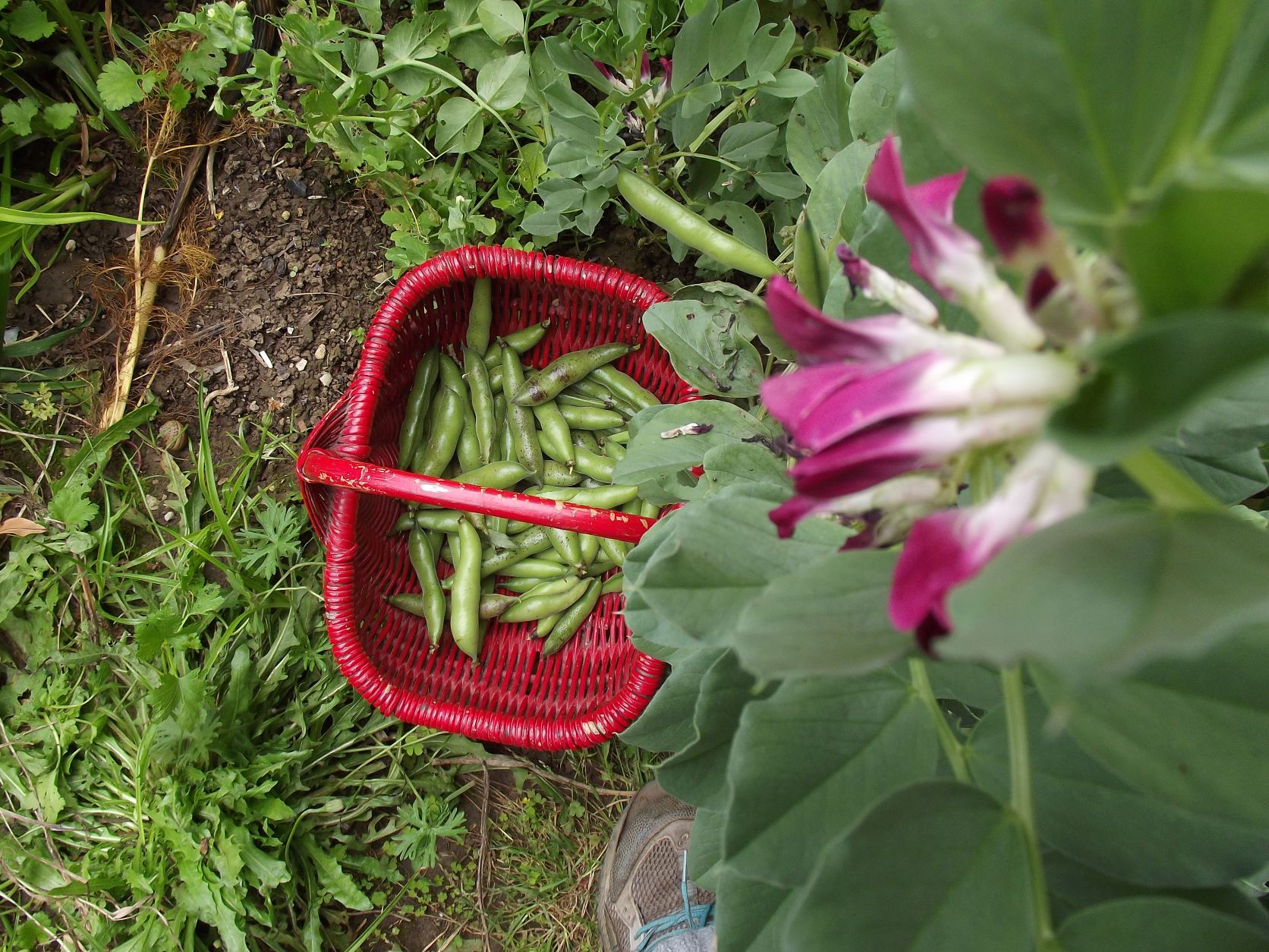 had a sudden craving ...