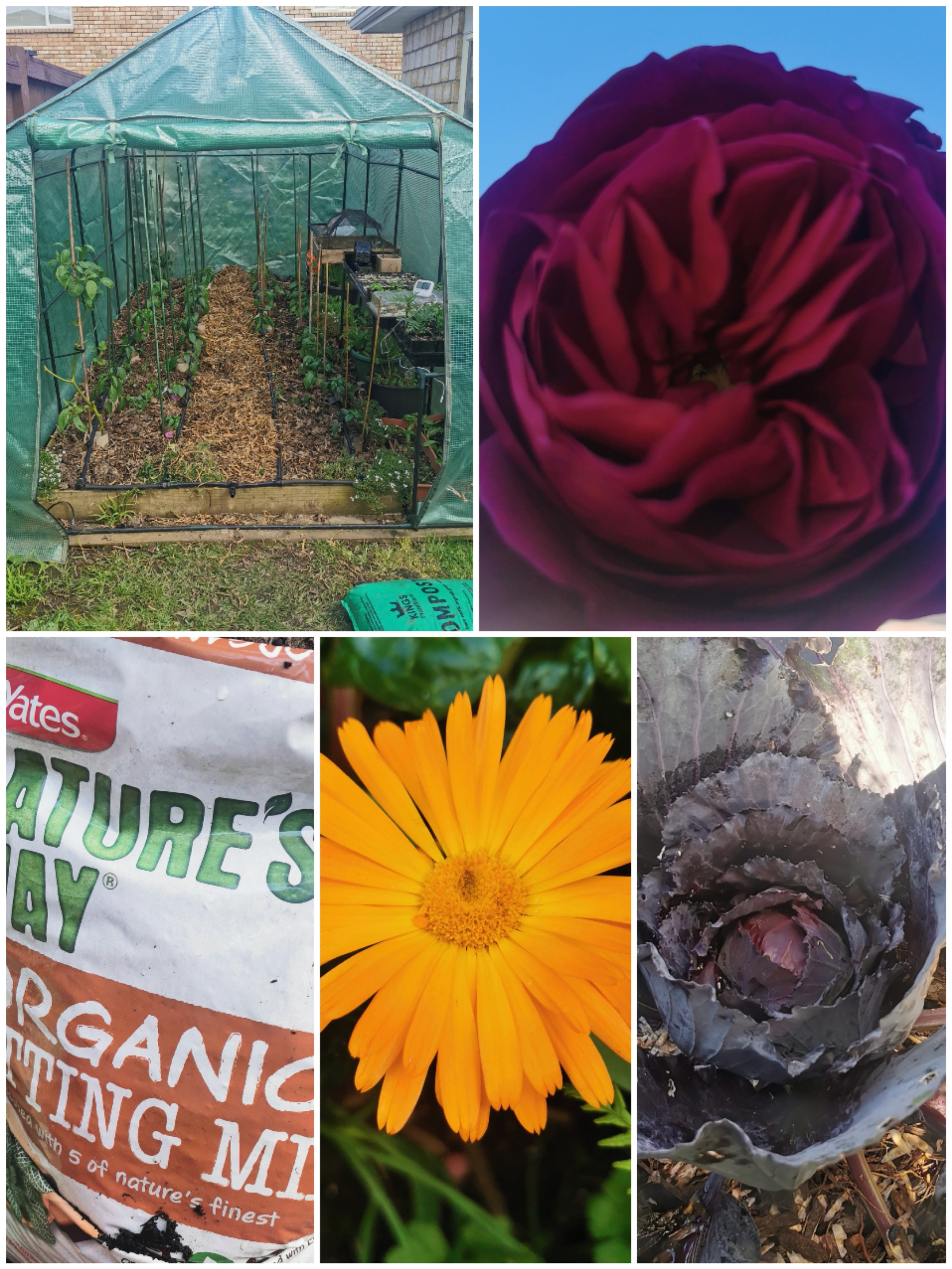 Spring is fast approaching! 