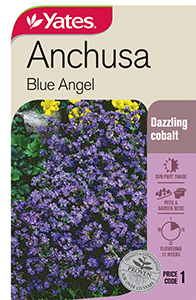 Yates Y35 960 Anchusa Blue Angel 2021