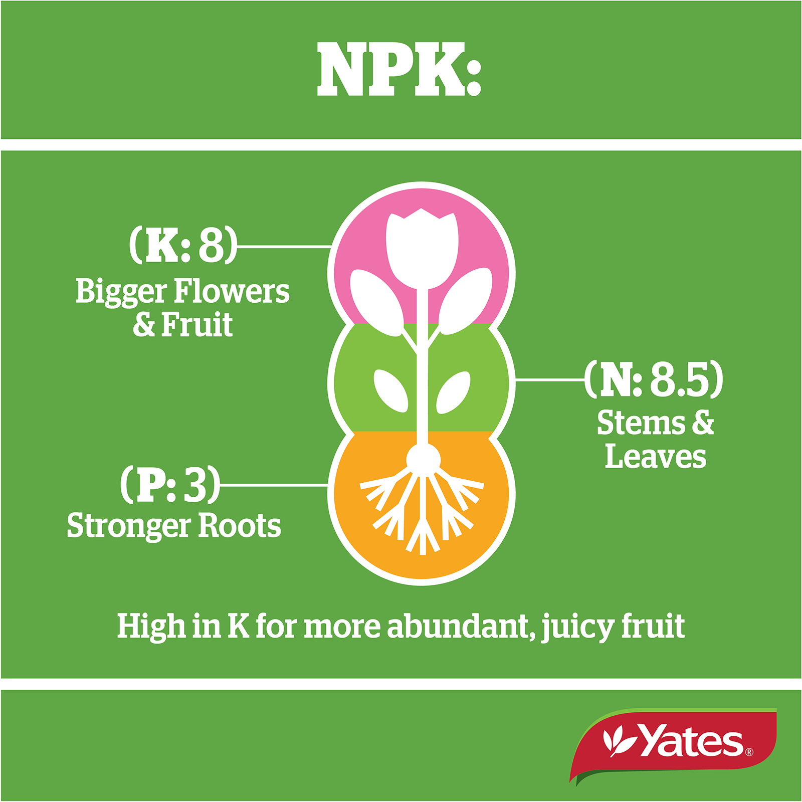 Yates Citrus Granulars V1 08