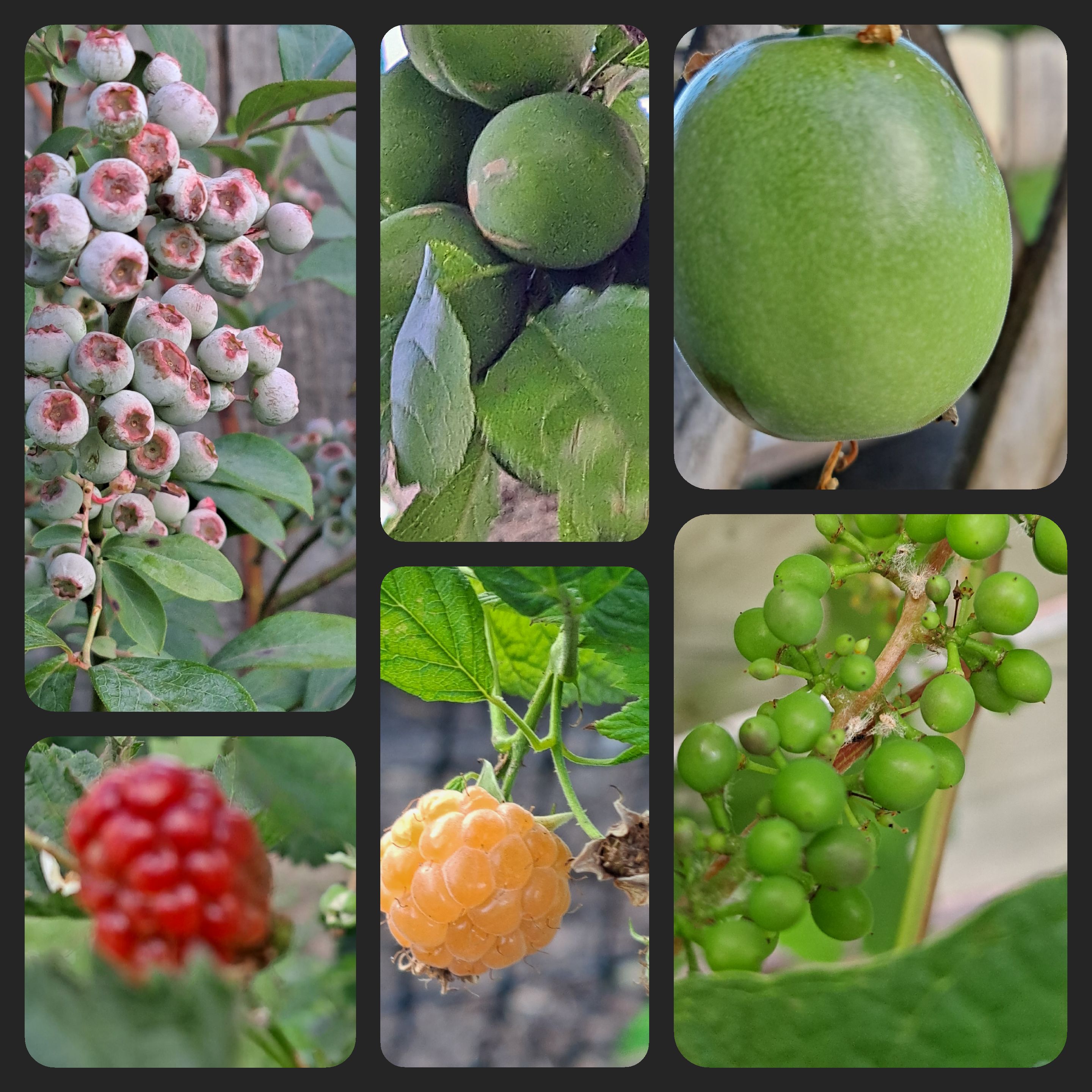 A Bit of a Breeze Needed