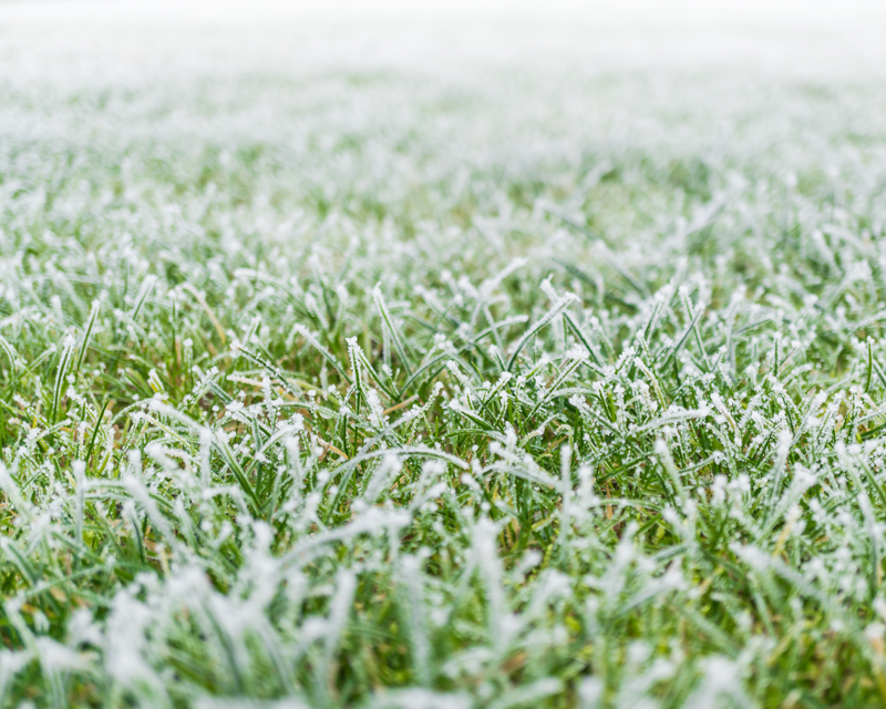 Winter Lawn Care Tips