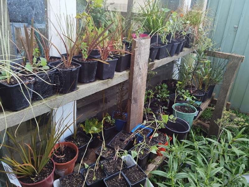 cutting, and seed raising