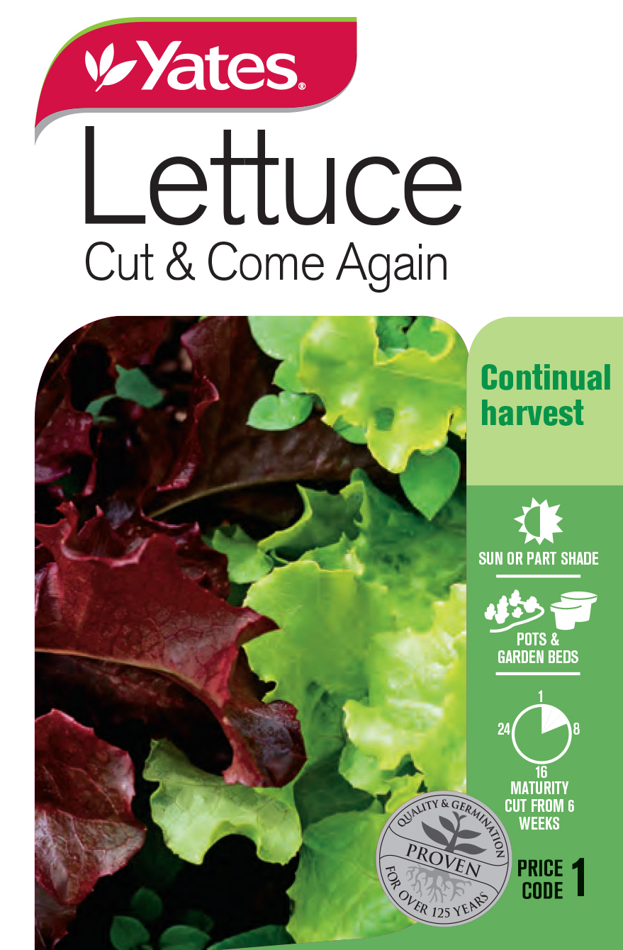 55342 Yates Vege Lettuce Cut Come Again Packet Seed